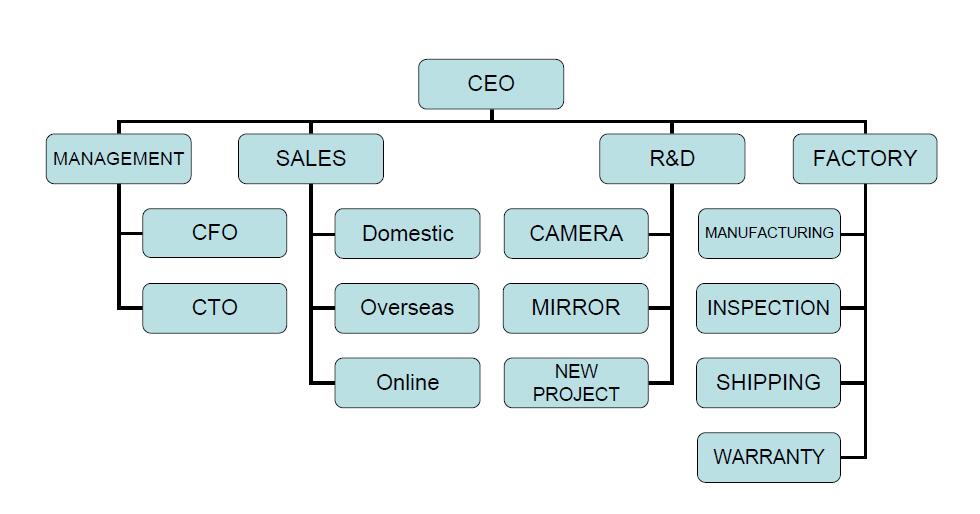 Company structure.jpg